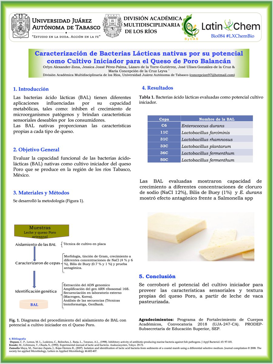 MaraCon94925365's tweet photo. Hi @LatinXChem, this is my work ´Caracterización de Bacterias Lácticas nativas por su potencial como Cultivo Iniciador del Queso de Poro Balancán´,🇲🇽🧀🧀 #LatinXChem22 #LXChemBio #Bio084 https://t.co/yYKuO92nwv