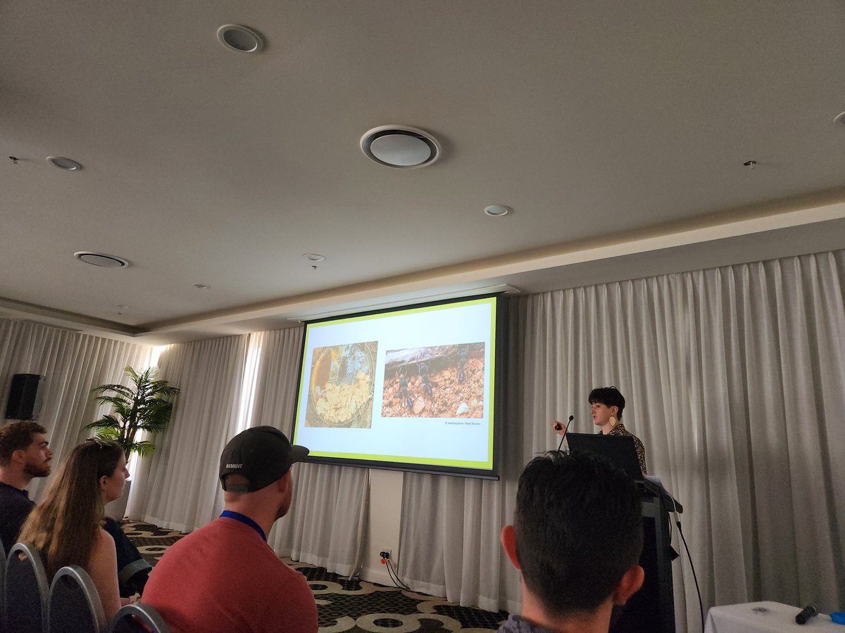 fANTastic #ESASCBO2022 presentation by <a href="/olive_ecology/">Olivia Breen 🌱</a>!

I learned today that Lantana affects ant assemblages by changing vegetation structure, and that ants like their tuna served with honey🍯🐟
