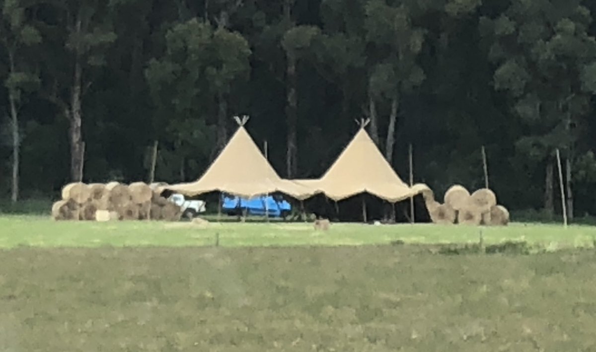 Bruce Manintveld tweet media