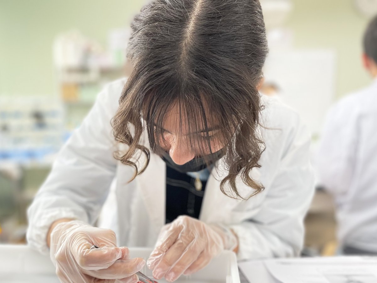 Grade 8 students dissected pig brains to gain hands-on experience of how the anatomy of the brain is laid out, including locating key glands such as the pituitary and understanding where the four lobes are located.
