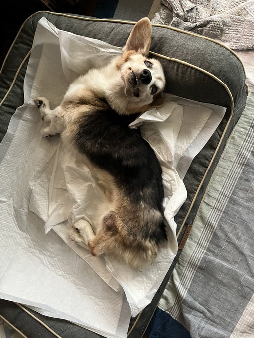 おはようございます。 