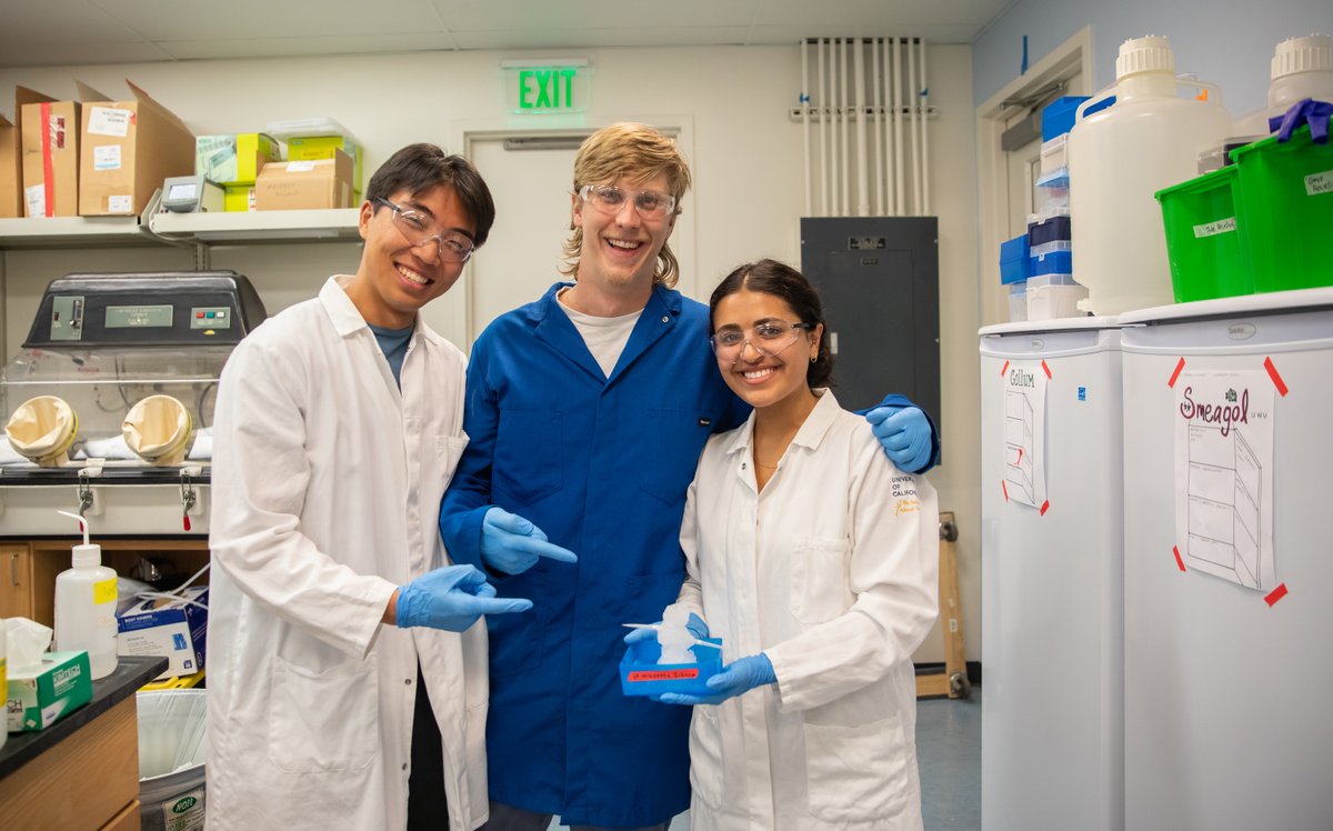 Congrats, Congrats, Congrats to the UC Santa Cruz iGem team who took home a gold medal for the third year in a row from the @iGEM Grand Jamboree by producing a yeast-based therapeutic Type 2 diabetes medication that can be grown locally and affordably. bit.ly/3VsdSn2