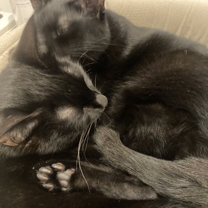 電車は遅延してるし当然座れないし今日に限って荷物は重いしもう…もう… 