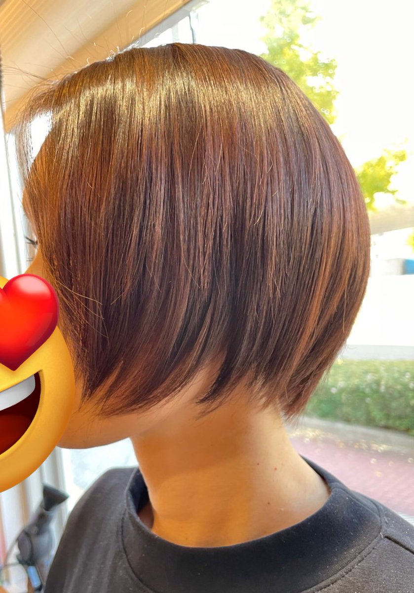 carree325's tweet photo. 新作ショートボブです
セニングシザー（鋤き鋏）は一切使わず毛先を筆先のように切り落とします
カラーは薄いピンク系
カラー剤に栄養素をふんだんに入れて、髪に残りやすい薬剤も綺麗に落とし艶髪へと導きます。
最高の手触りと艶は１ヶ月以上保ちます。
スタイリング剤も要りません。 https://t.co/Q3izAAo0z6