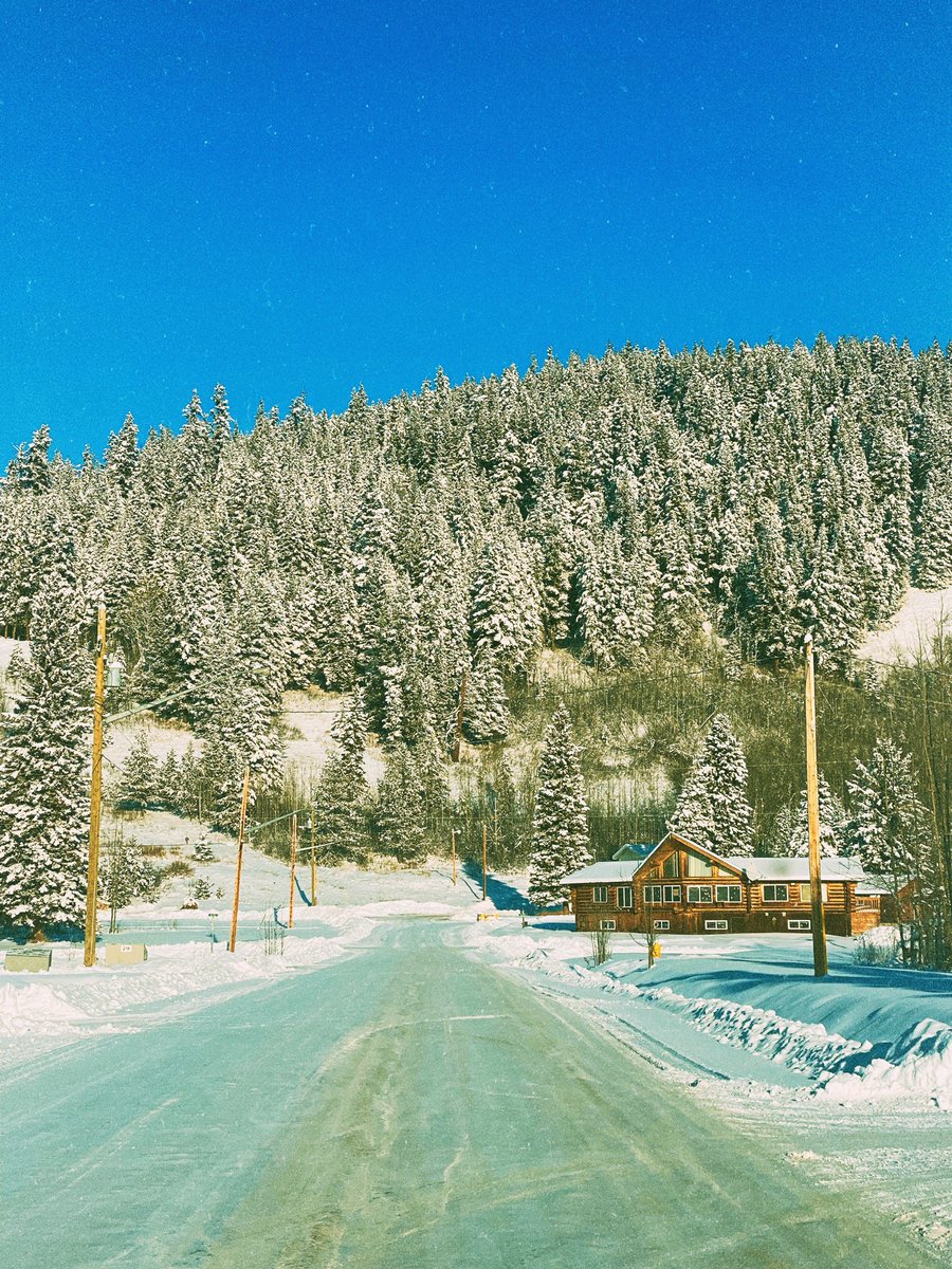 janellelapointe.bsky.social tweet media