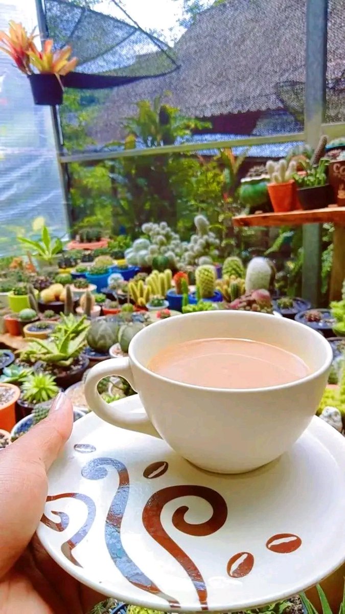 Morning 🌵🌵🌵❤️❤️❤️❤️
