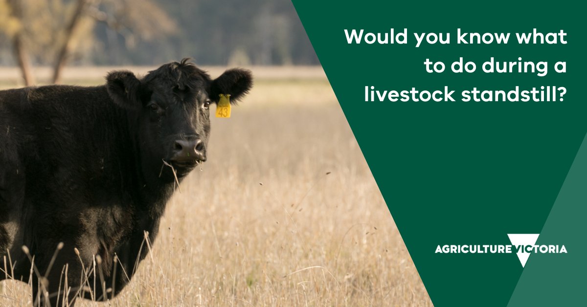 Agriculture Victoria on Twitter "Would you know what to do during a