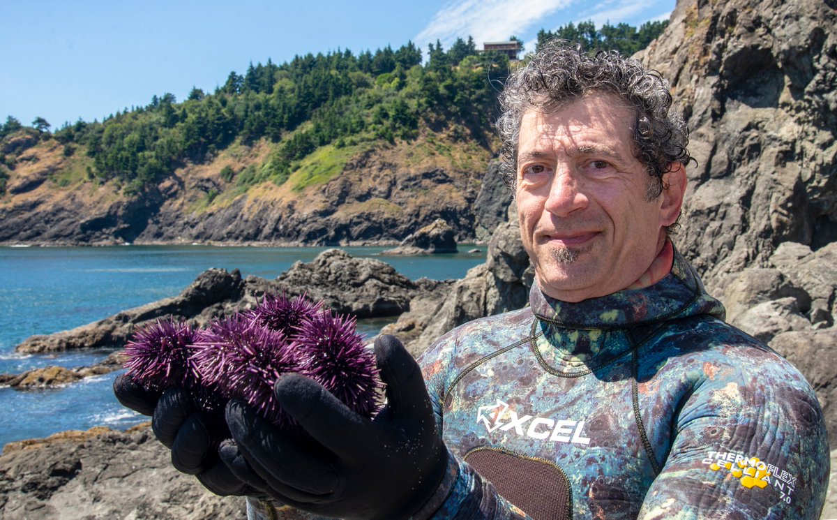 Oregon Sea Grant (@oregonseagrant) on Twitter photo On Nov. 30, learn about research Oregon Sea Grant is funding to improve the market value of sea urchins. Attend at 3 p.m. via Zoom or @osuportorford. Hear from @tomascalvanese, Tate Scarpaci & <a href="/OSUAgSci/">OSU Ag Sciences</a>'s Ford Evans. bit.ly/3Vz0H3r On Nov. 30, learn about research Oregon Sea Grant is funding to improve the market value of sea urchins. Attend at 3 p.m. via Zoom or @osuportorford. Hear from @tomascalvanese, Tate Scarpaci & <a href="/OSUAgSci/">OSU Ag Sciences</a>'s Ford Evans. bit.ly/3Vz0H3r