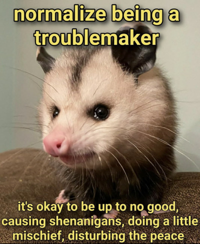 Friendly reminder redd.it/z5ptz9