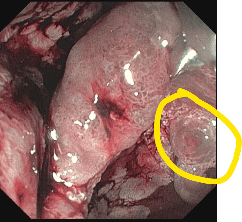Kenneth Park, MD, MSc, DABOM tweet media