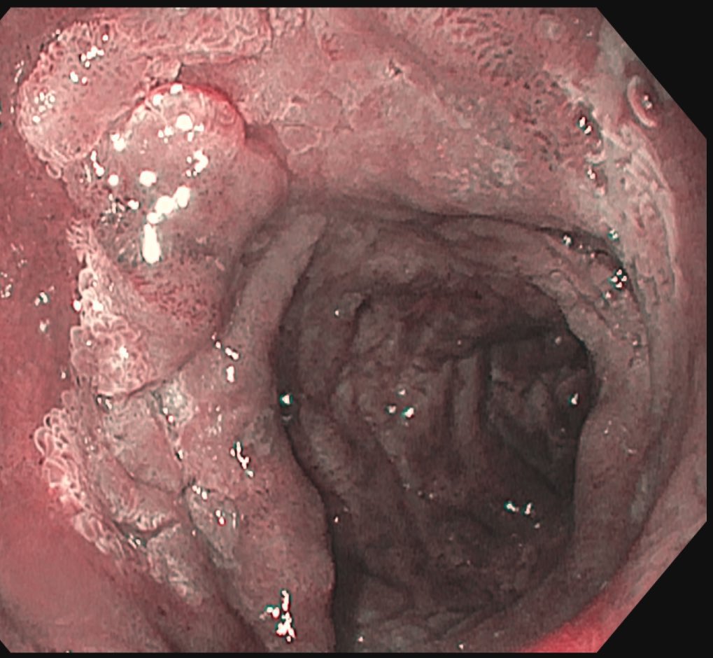 Kenneth Park, MD, MSc, DABOM tweet media