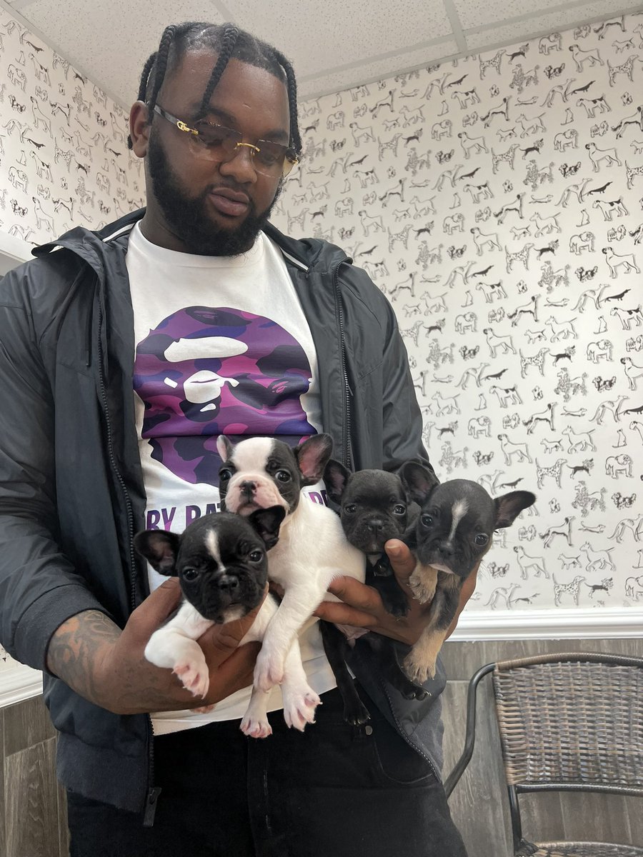 😮‍💨😮‍💨😮‍💨🐶💩💩🐶💩💩💩🐶