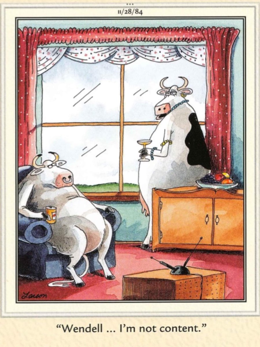 DesertRuffian's tweet image. #cowproblems #content