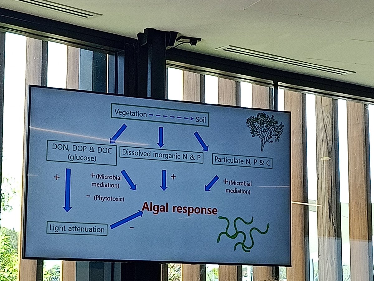 Great insight into the response of phytoplankton to forms of dissolved organic matter by Prof Michelle Burford #AFSS2022