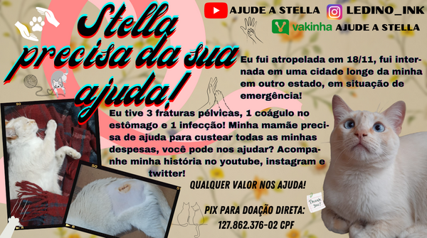 AjudeStella's tweet photo. Boa noite, tudo bem pessoal? Vocês já conferiram o vídeo novo do youtube sobre a Stellinha? https://t.co/tHVmKGzfJP