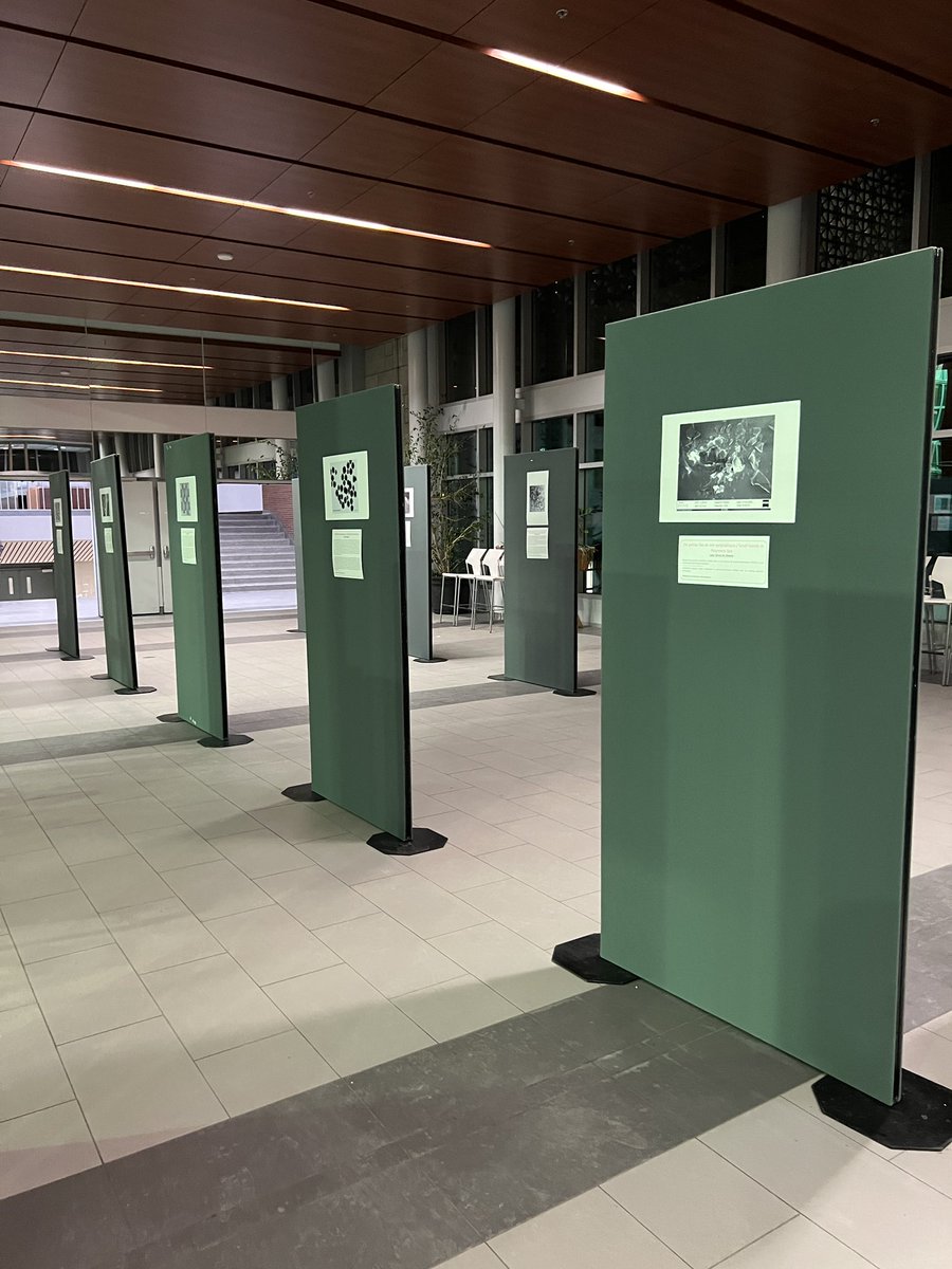 chai_miste's tweet photo. The image contest of @CERMA_UL concluded with an amazing exhibition of pictures from our research! It was a great concept to showcase beautiful images! @Morin_Lab @ChimieUL @universitelaval 

#phdlife #phdchat #AcademicTwitter #ChemTwitter https://t.co/WZiMe8GEMx