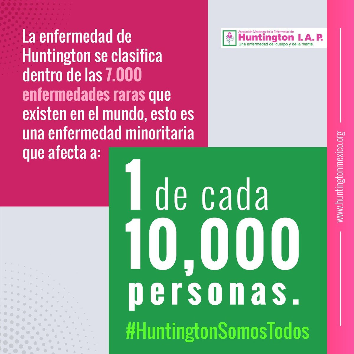 La #EnfermedadDeHuntington se clasifica dentro de las 7,000 enfermedades raras, esto es una condición que afecta a:
➡️➡️➡️1 de cada 10,000 personas

Hoy y siempre #HuntingtonSomosTodos