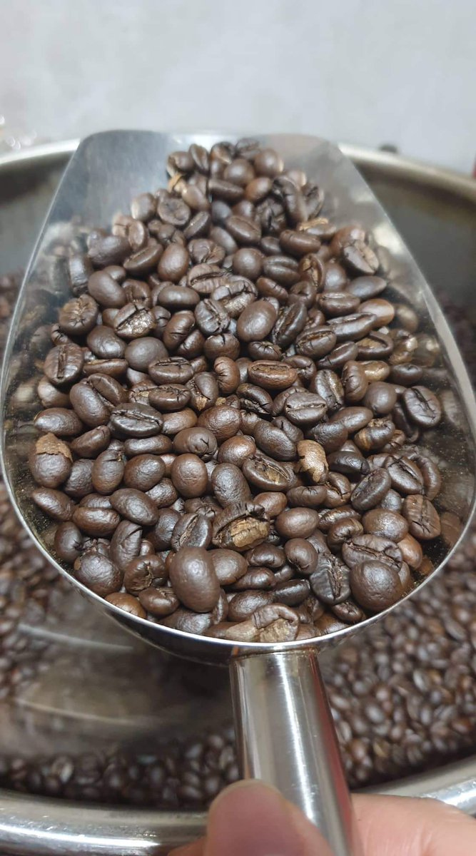 Minh Đức Trần tweet media