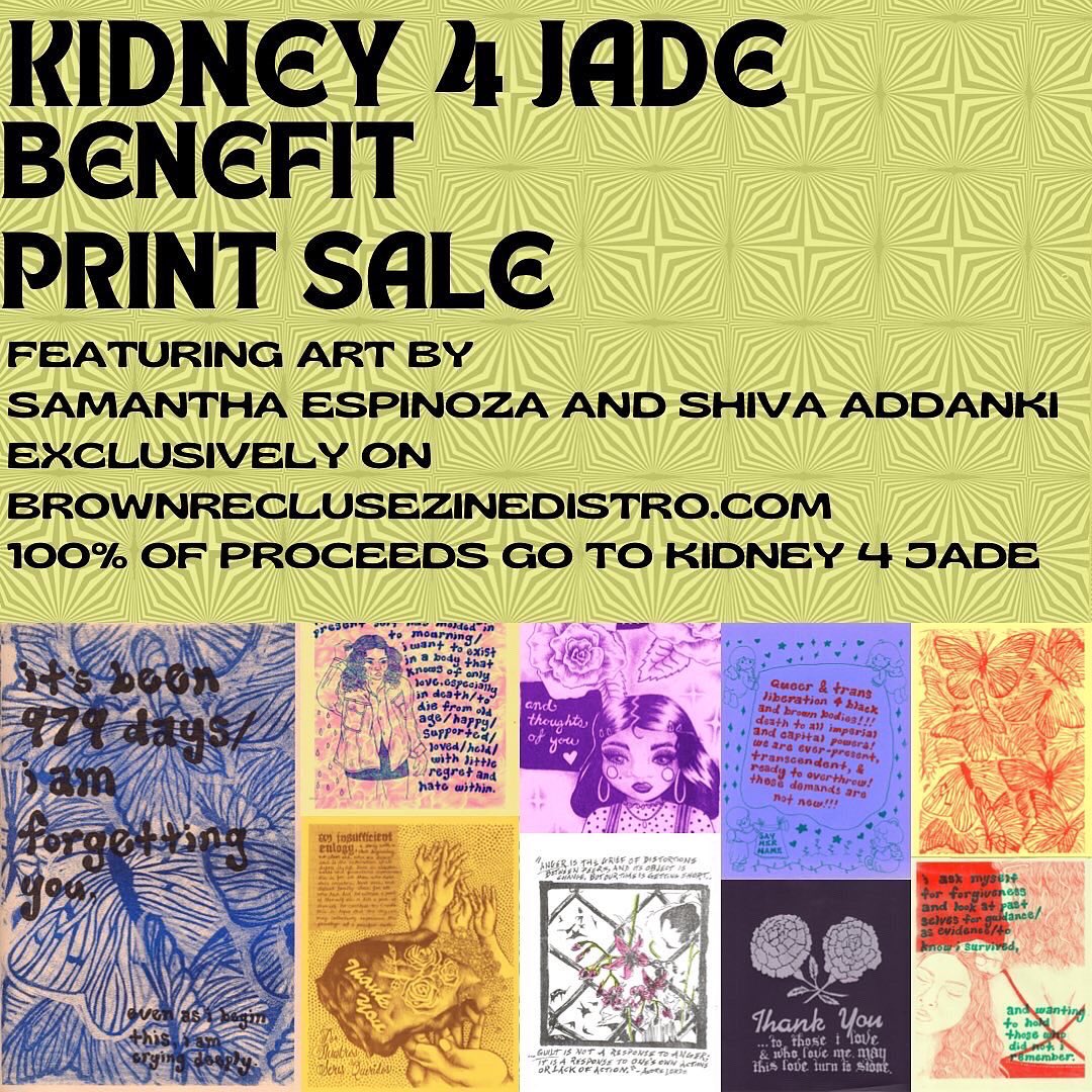 BROWN RECLUSE ZINE DISTRO tweet media