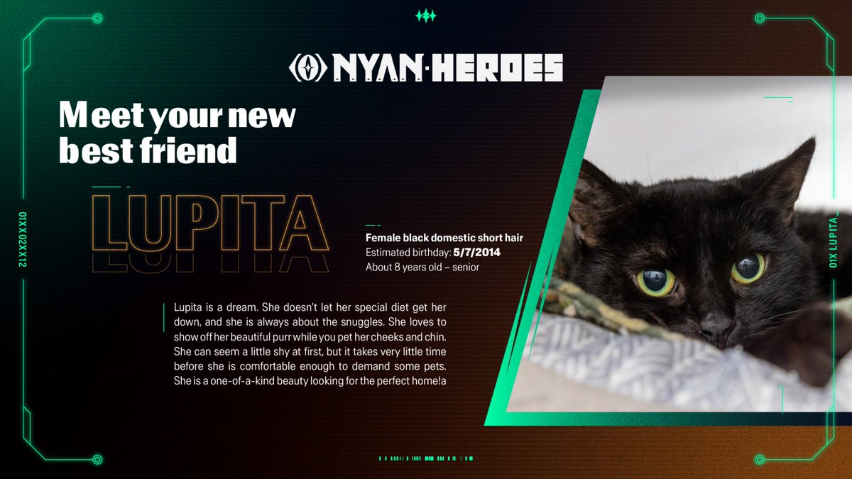 Lupita is the perfect snuggle buddy for this crypto winter! 
You can learn more about her on the <a href="/BestFriends/">Best Friends</a> adoption page:
bestfriends.org/adopt/adopt-ou…