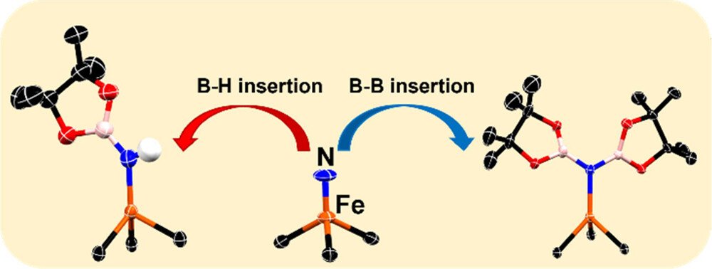 bhkenlo's tweet photo. Facile Addition of B–H and B–B Bonds to an Iron(IV) Nitride Complex https://t.co/9QfmpPCVO2 Caulton, Smith, and co-workers @InorgChem #iron #tetravalence #nitrode #addition #B_H #B_B #HBpin #9BBN #Bpin2 #DFT #stepwise #mechanism https://t.co/0oGJDJR66E