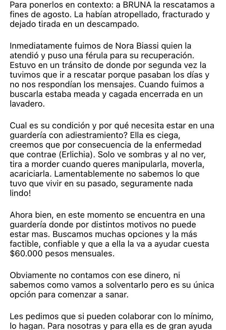 Dejando Huellas Rosario tweet media