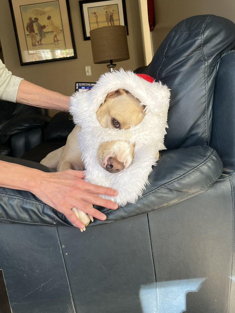 Chase Sudduth (@4chasey) on Twitter photo 