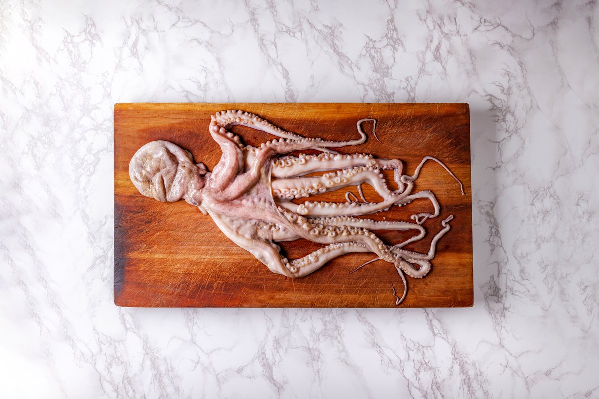 LoreaMx's tweet photo. Pulpo Maya

Este producto mexicano considerado un lujo y que por muchos años fue consumido únicamente en países asiáticos, actualmente ha sido revalorizado por los paladares mexicanos impulsando su utilización en la gastronomía nacional. https://t.co/Bhudc11HvX
