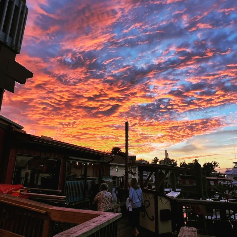 RustysInThePort's tweet photo. Julz coming through with some epic sunset pics from the deck tonight... at Rusty's at the Port!!πππ’ππ
πππΉ #sunsetsarebest #sunset #sunsets #sunsetstyle #thanksjulz #nightshiftΒ #rustysattheport #staysafe #rustysfam #rustyspeeps #rustysseafood https://t.co/lFEsfnEeNI