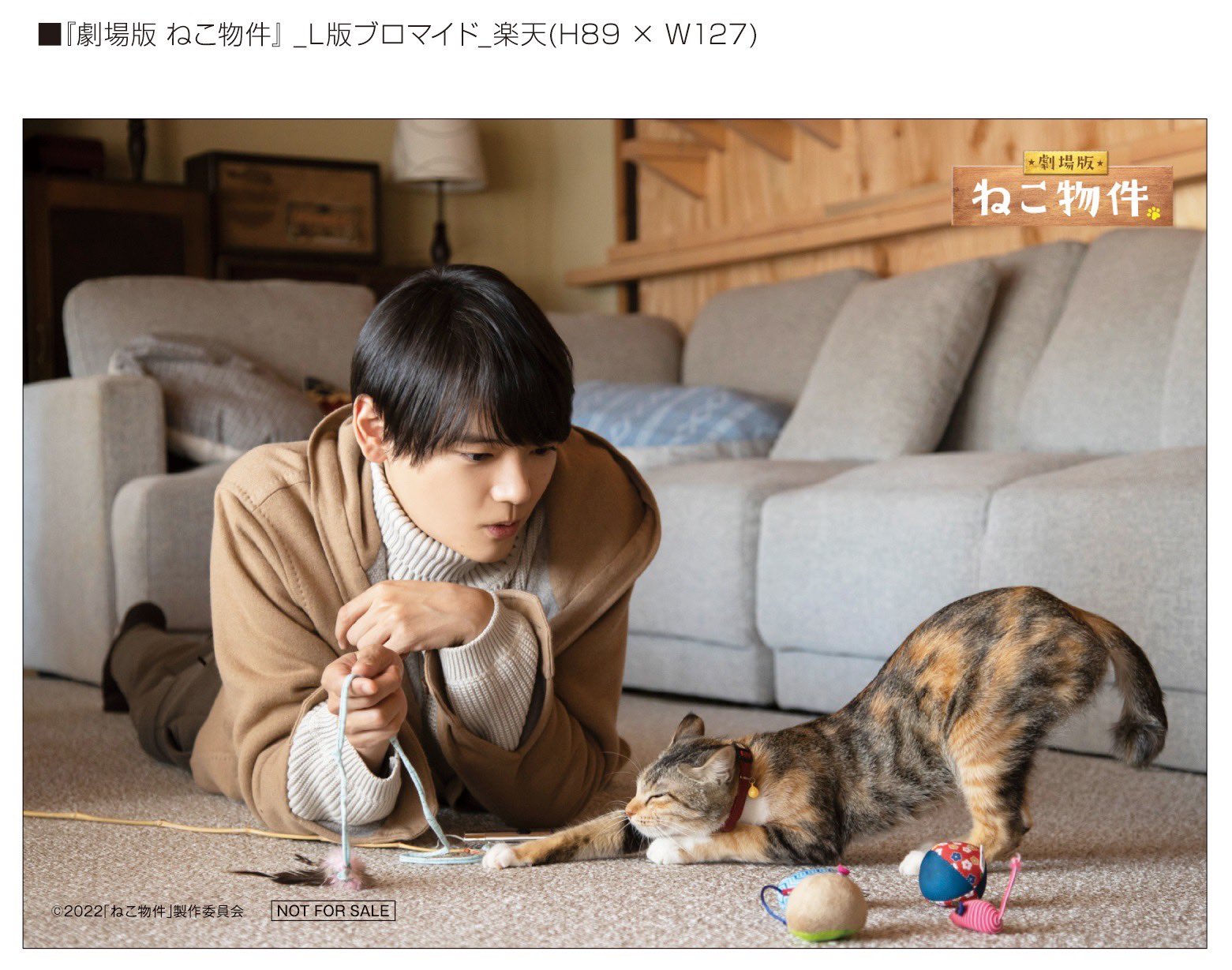 MOVIE – ドラマ「ねこ物件」公式サイト