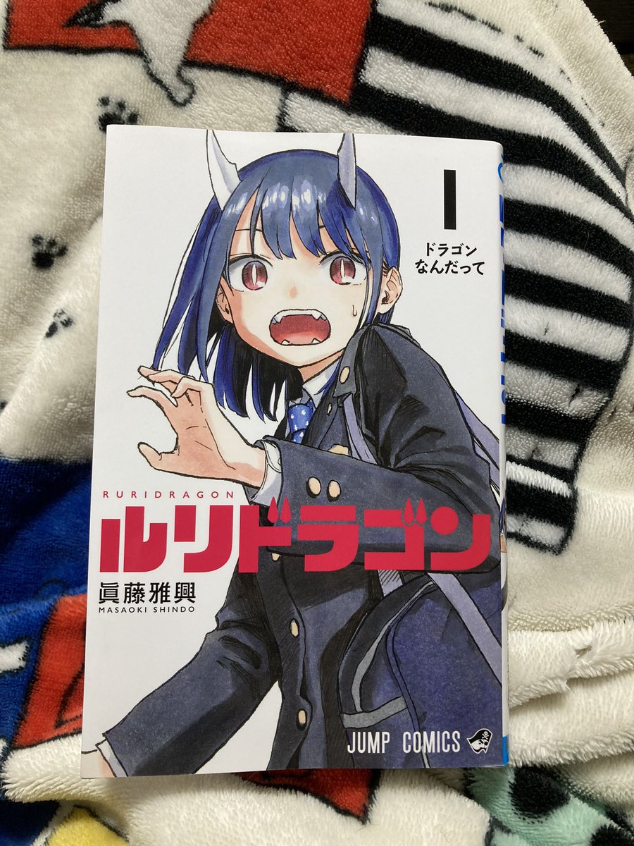 ルリドラゴン 販促ポスター 複製原画 イラストカード セット | yachaqs.com