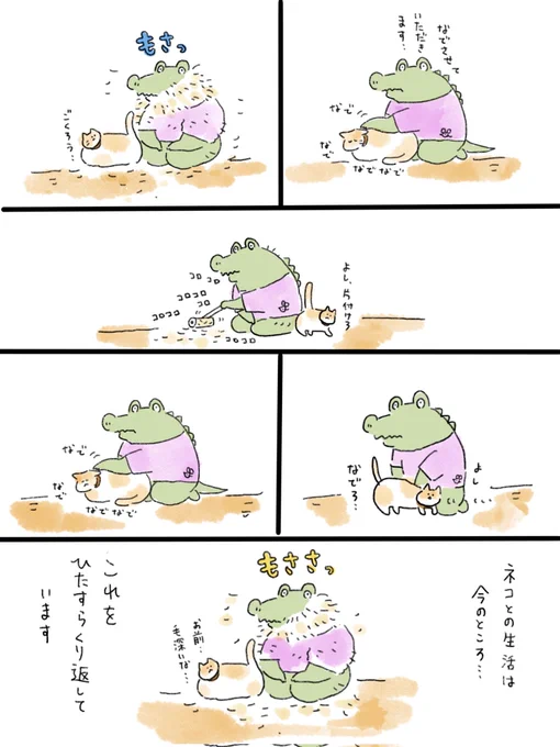 ネコを飼い始めました日記③
ブラシ後も無限に毛が出てくるのはどうすればいいのでしょうか… 