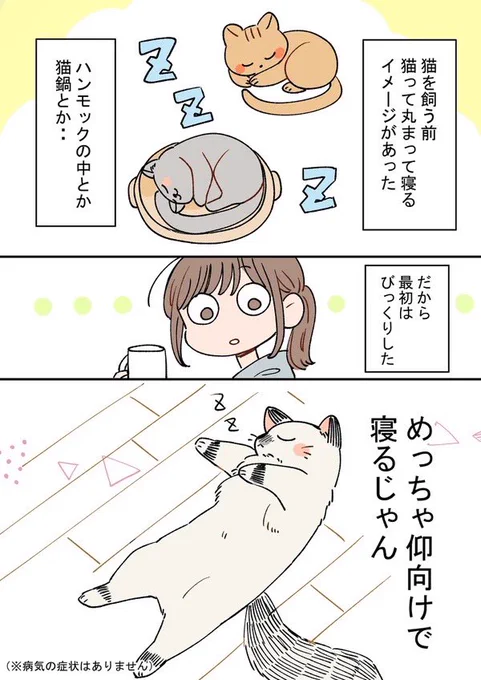 猫を飼ったら思っていたのと違う話 