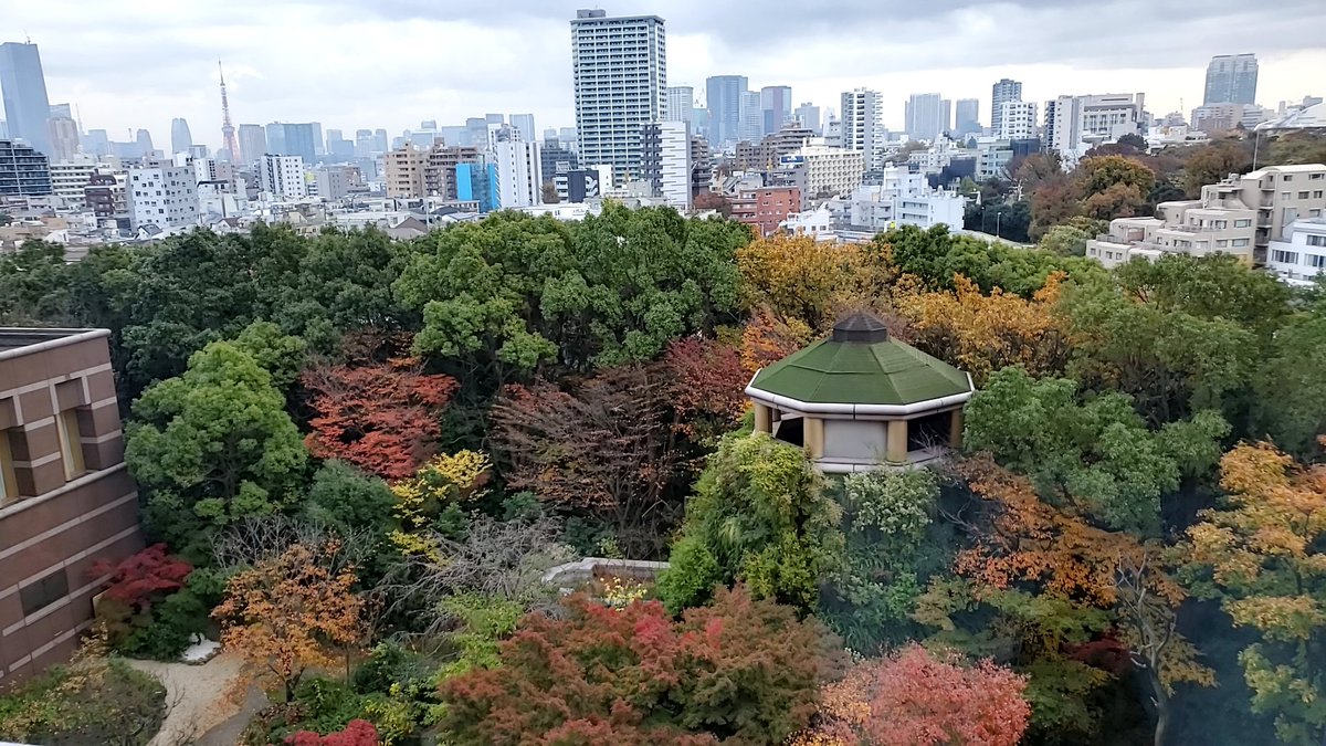 Ijokarumawak's tweet photo. 今週は美しい紅葉が見える会場から Elasticsearch のトレーニングを開催中！やっぱり対面トレーニングはいいですね https://t.co/yP2EATqt3A