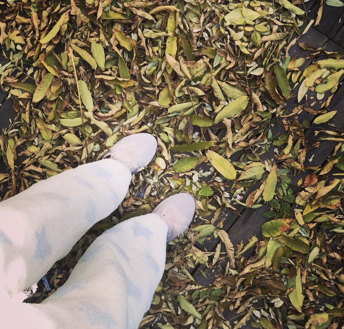 I have always been reluctant to abandon my life of struggle, and I attach great importance to the experience gained from struggle, especially the pleasure gained from overcoming difficulties.