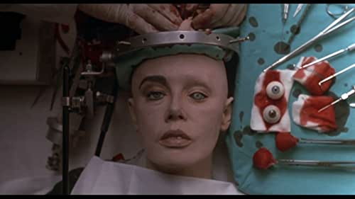 JerAtTheMovies's tweet image. CYBORG (1989, dir. Albert Pyun)
Surprised to discover that Jean-Claude Van Damme is not the titular cyborg. #RIPAlbertPyun