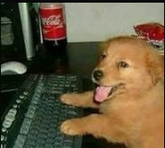 KnowDoge's tweet photo. @Creisi__ soy ese https://t.co/p7rzK2ckwk