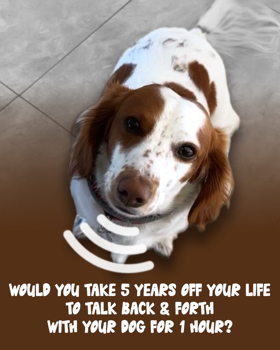 ChicksInTheOff's tweet photo. Asking the important questions https://t.co/3xHy5drSmz