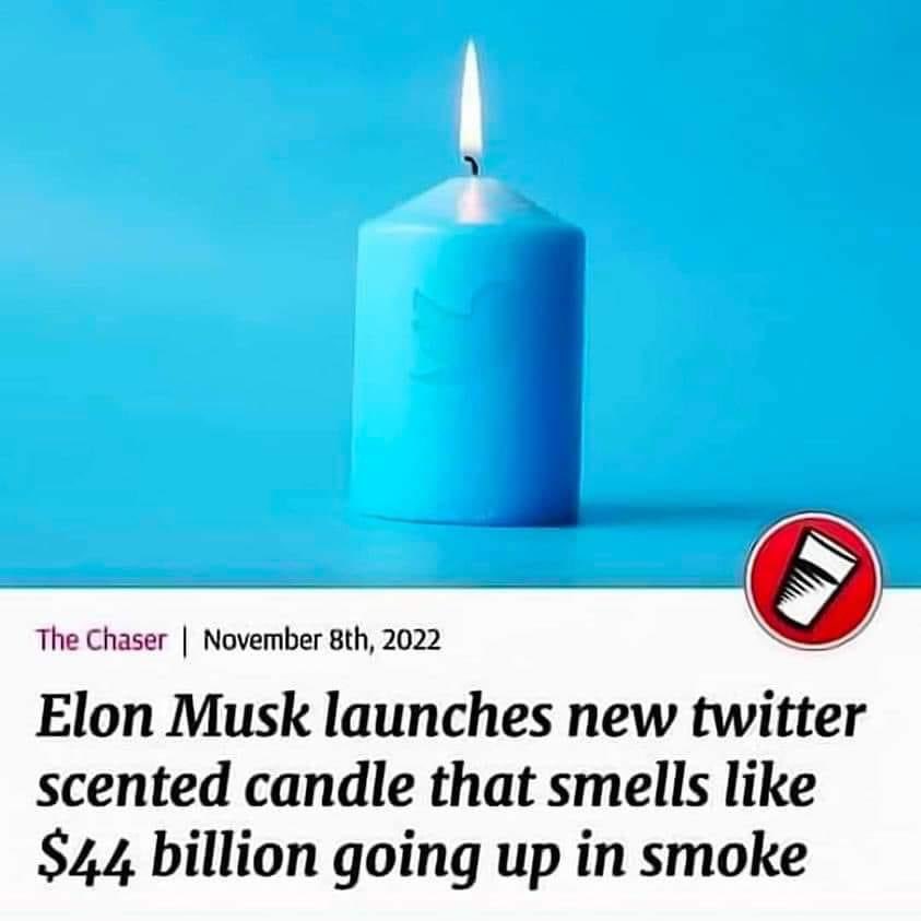 <a href="/VABVOX/">Victoria Brownworth</a> @JPerryFarm <a href="/elonmusk/">Elon Musk</a>