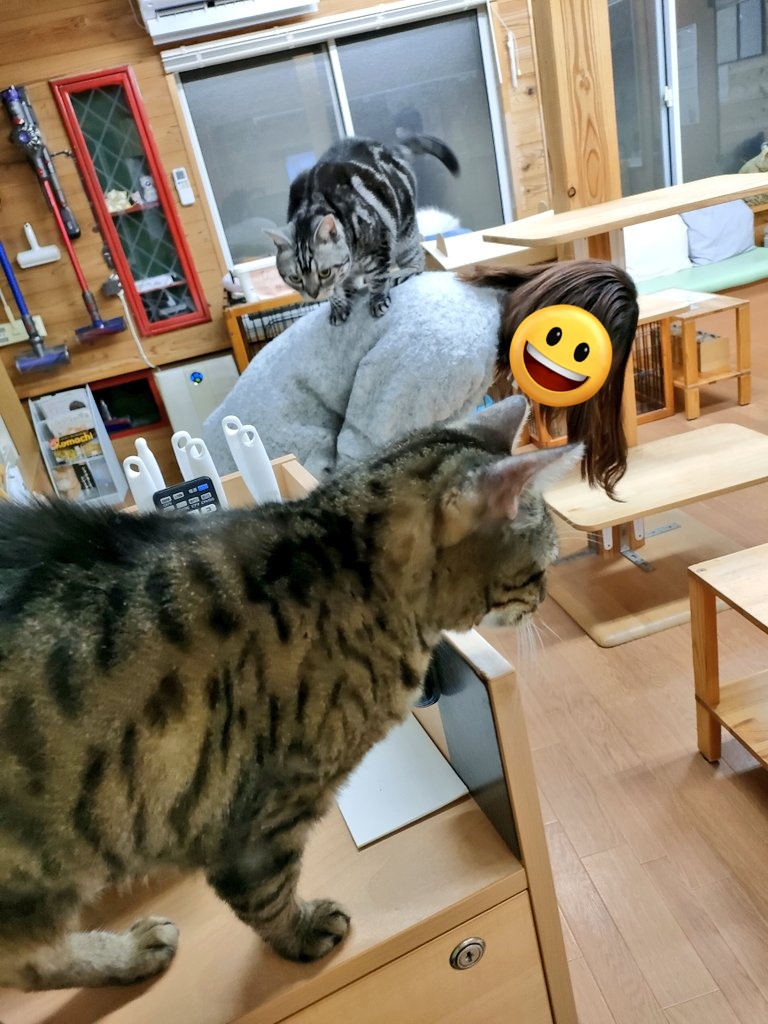当時のメディア報道・掲載写真