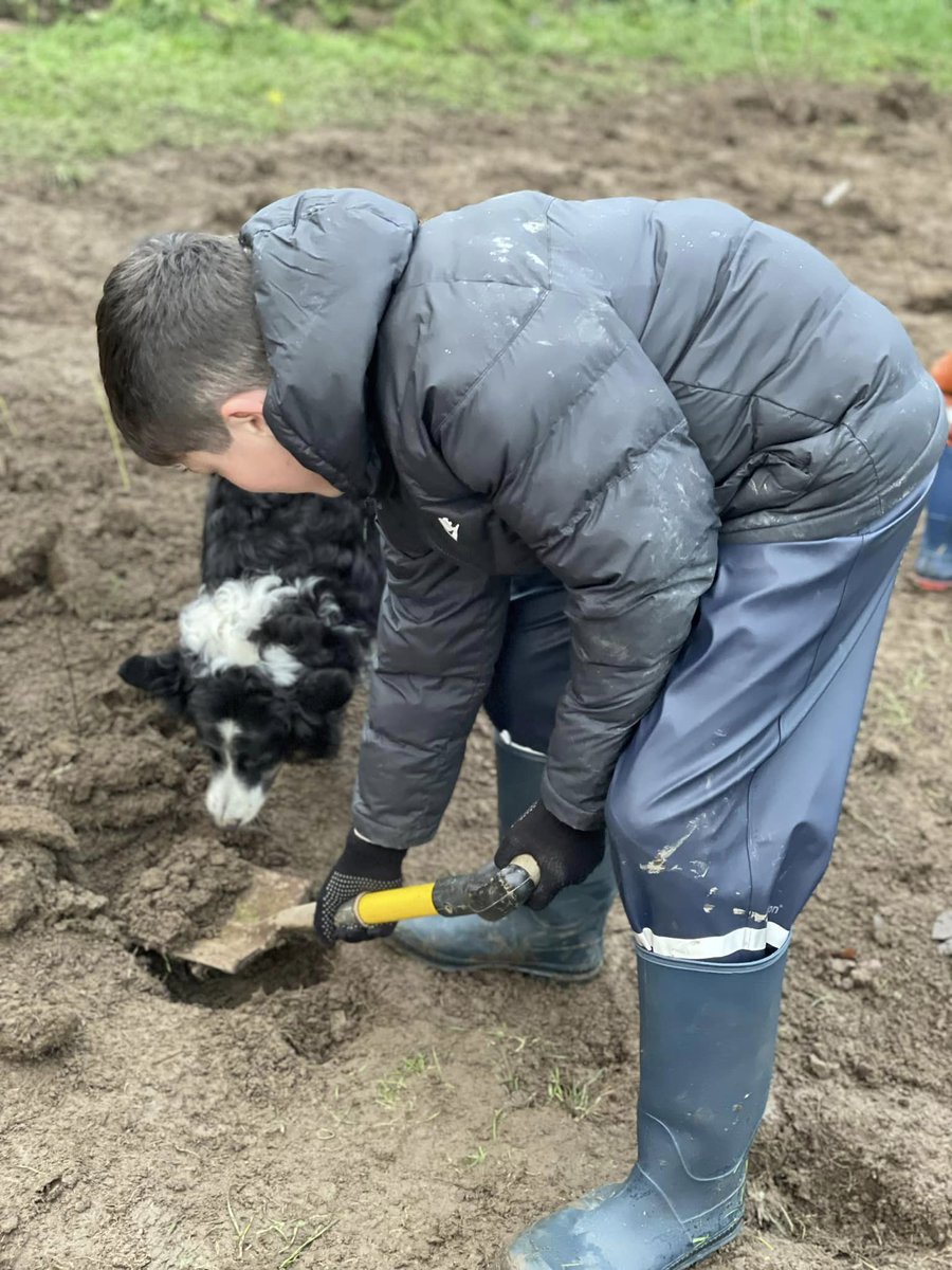 Grimes Dyke Primary School tweet media