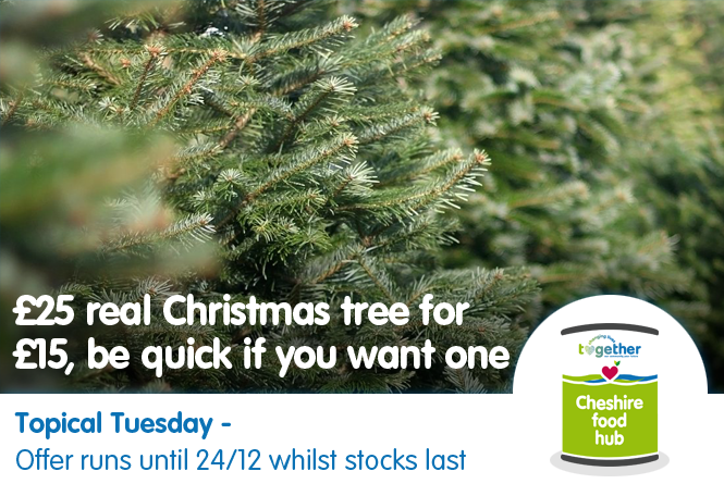 cheshire_hub's tweet photo. It's starting to look a lot like #Christmas.
If you're not quite there and are thinking of getting a real tree, get a 6ft #XmasTree for £15 and more at the famous Swedish brand - https://t.co/KdP1GoPheB #TopicalTuesday #HereForYou #Offers https://t.co/nVt7a1im9c