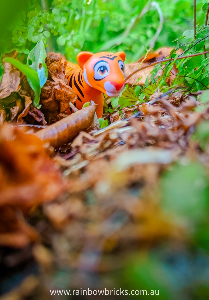 Rainbow_Bricks's tweet photo. And he's watching us all with the eye of the tiger
The eye of the tiger...

#rainbowbricks #lego #legominifigs #legophoto #toys #legofan #afol #legofun #tiger #eyeofthetiger #jungle #legotiger https://t.co/SMDI8grzVU
