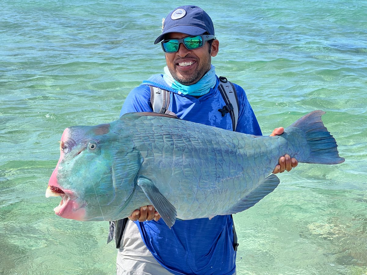 4 bumpies for the week at Farquhar!! As well as a myriad of other impressive species. 

📍 Farquhar Atoll 

#AlphonseFishingCo #FlyFishing  #Seychelles #CatchAndRelease #KeepEmWet #FlyFish  #Angling #flyfishingaddict #flyfishingjunkie