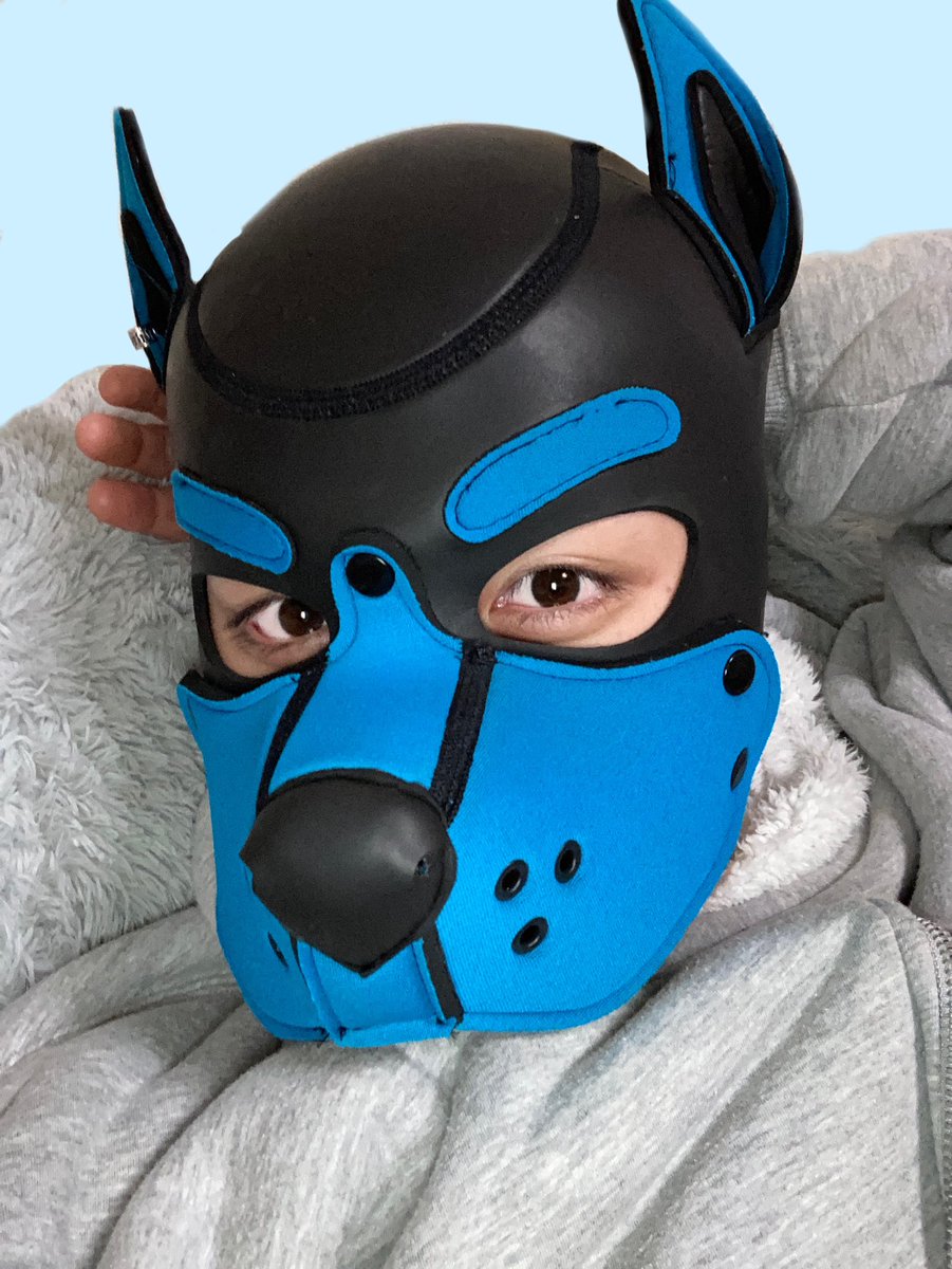 kichipup's tweet photo. https://t.co/4krmvpcwut