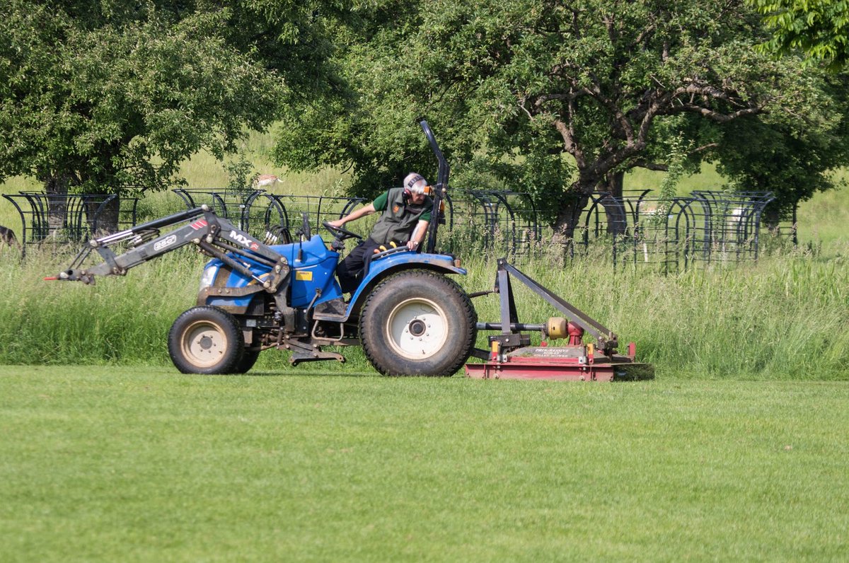 CharlecoteNT's tweet photo. 📣 We're hiring an Assistant Ranger 📣 

In this role, you’ll help protect and care for habitats, wildlife, and property, and inspire others to love this beautiful place by engaging with visitors.

Submission Deadline: 11 December. Search for IRC130383 on https://t.co/xwxQ6cLKx9 https://t.co/9s6aMESfGI