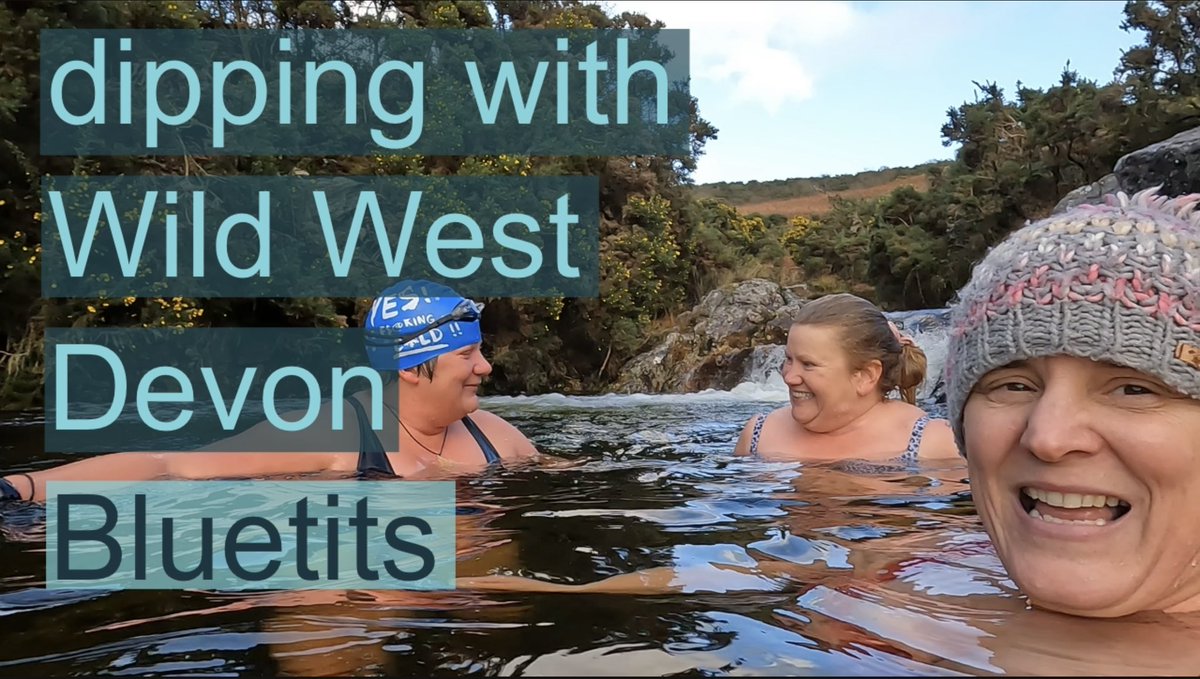 Pool dipping with the Wild West Devon Bluetits 

VIDEO
youtu.be/OW-W0k5VnT4

#swim #outdoorswimming #bluetits #mentalhealth #wellbeing #bluetonic #dartmoor #wildswim #makefriends #headspace #reset #refresh #joyful