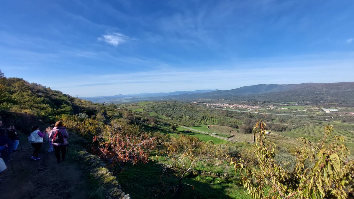 DIVA-AMBROZ tweet media