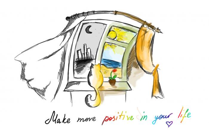 Cats (@hourlycats) on Twitter photo 