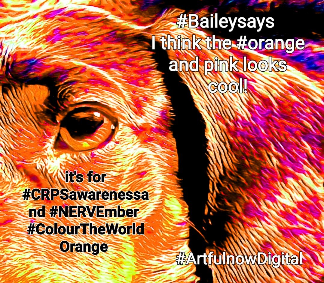 ArtfulnowStudio's tweet photo. @sanjaromin @BarbyIngle @iPainOfficial @APainPrincess @ZeeStrong60 @DebraCartles @unitedadvocacy @noogamommy @Rossco006 @globetrotteri @OpheliaComplexx @Dphillips2112 @Endo_Jenn @CRPS_SIG @ches_thompson @Looms4Lupus @lacies_web Thanks @sanjaromin 

The #furbabies approve!

#ColourTheWorldOrange
#Goodonya #GoOrange 
#NERVEmber #CRPSAwarenessMonth
#crpscreativity 
#CRPSchat
#creatingtexturedpatternsofvibratinglanguage
#createdyourway
#createyourpainaway
#myarttherapy mark-making creativity #keepsmesane https://t.co/gwJ3WYfLRW